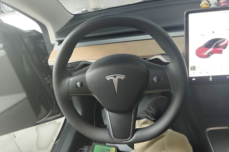 Tesla Model 3 2021 car image #11