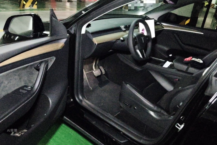 Tesla Model Y 2022 car image #18