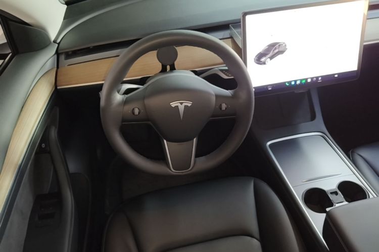 Tesla Model 3 2021 car image #11