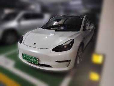 Tesla Model 3 2021 Tesla Model 3 2021 immagine di auto