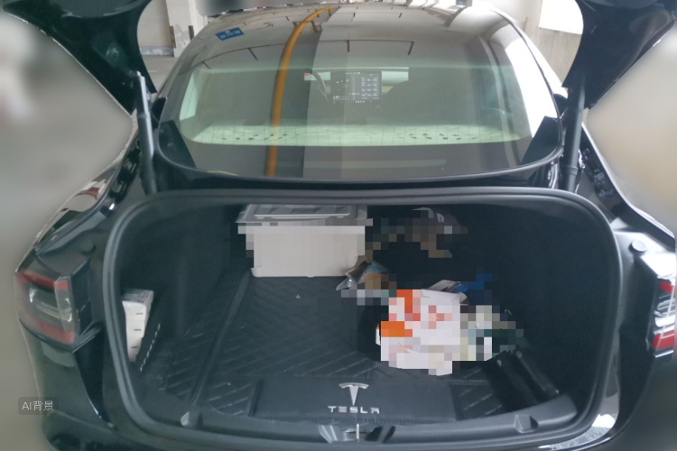 Tesla Model 3 2020 car image #21