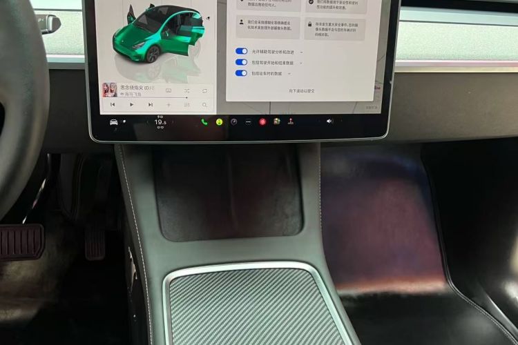 Tesla Model Y 2024 car image #19