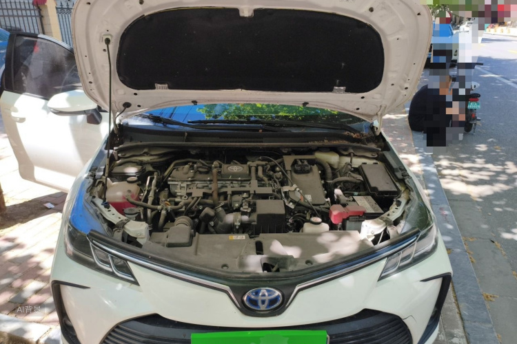 Toyota Corolla 2022 #22 Toyota Corolla 2022 car image #22
