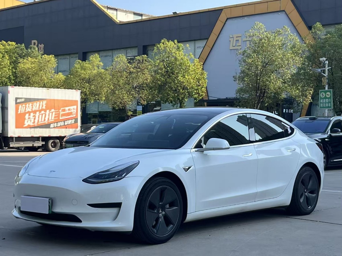 Tesla Model 3 2020 Tesla Model 3 2020 car image