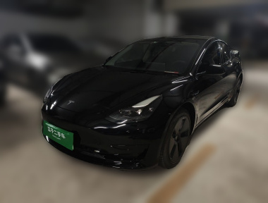Tesla Model 3 2021 Tesla Model 3 2021 car image