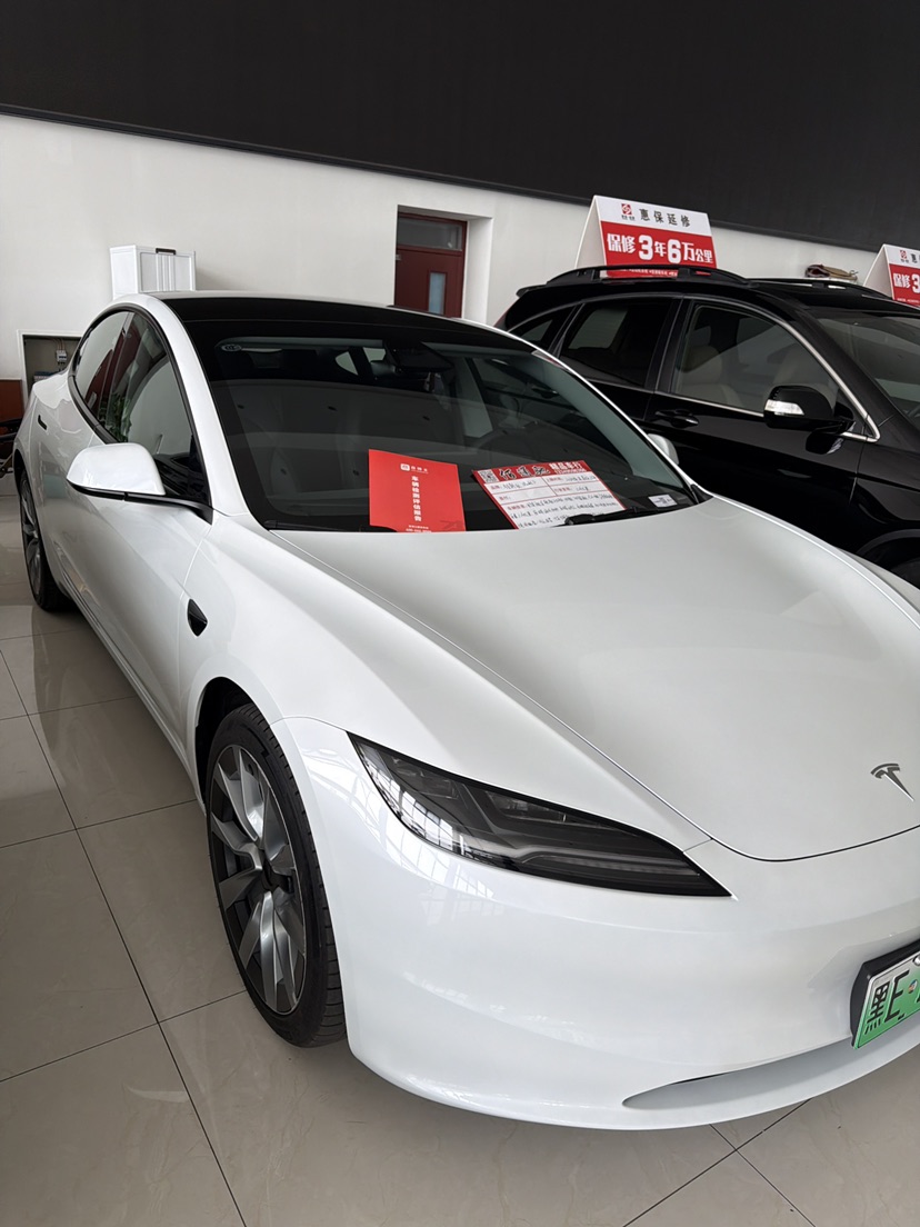 Tesla Model 3 2024 immagine di auto #6