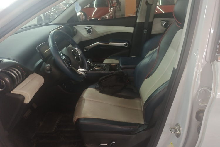 BYD Yuan Plus 2022 car image #26