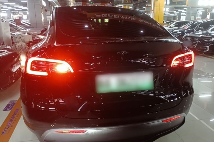 Tesla Model Y 2022 car image #6