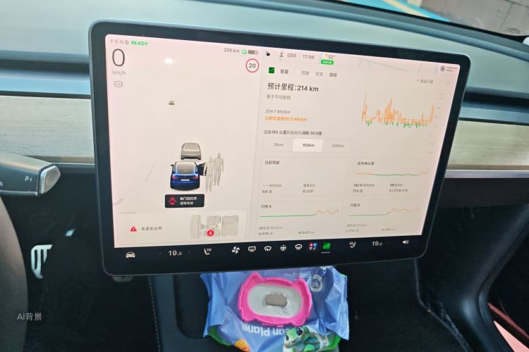Tesla Model Y 2021 car image #13