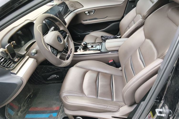BYD Han 2021 car image #19