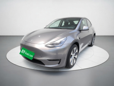 Tesla Model Y 2021 Tesla Model Y 2021 car image