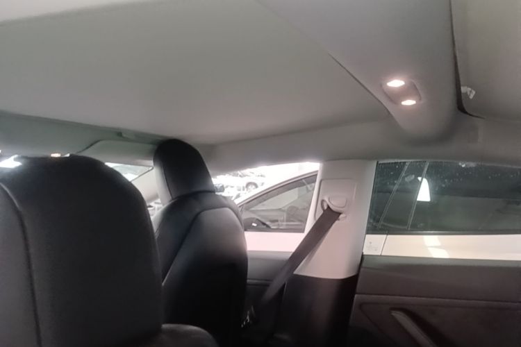 Tesla Model 3 2020 #20 Tesla Model 3 2020 car image #20