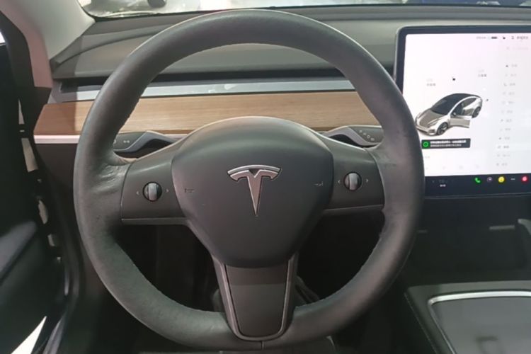 Tesla Model 3 2021 #15 Tesla Model 3 2021 car image #15