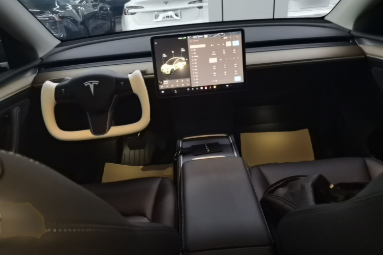 Tesla Model Y 2022 car image #10