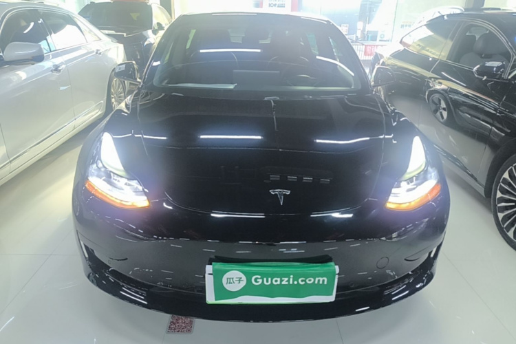 Tesla Model 3 2021 immagine di auto #3