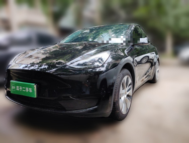 Tesla Model Y 2023 Tesla Model Y 2023 car image