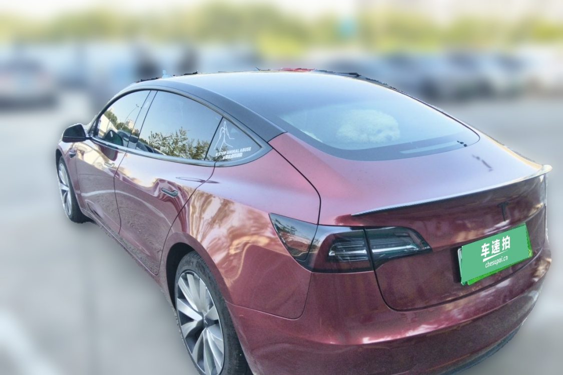 Tesla Model 3 2020 #3 Tesla Model 3 2020 immagine di auto #3