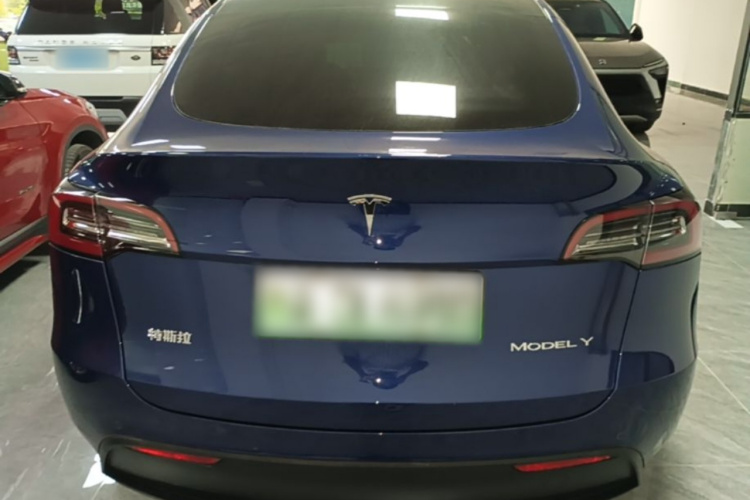 Tesla Model Y 2021 #6 Tesla Model Y 2021 car image #6