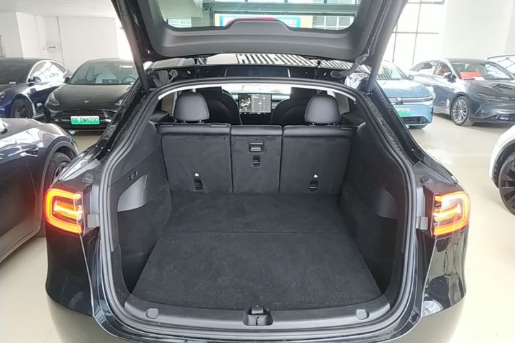 Tesla Model Y 2024 car image #19