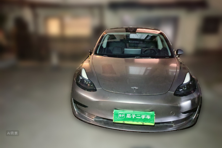 Tesla Model 3 2022 car image #3