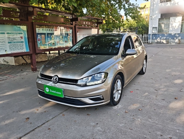 Volkswagen Golf 2019 car image 