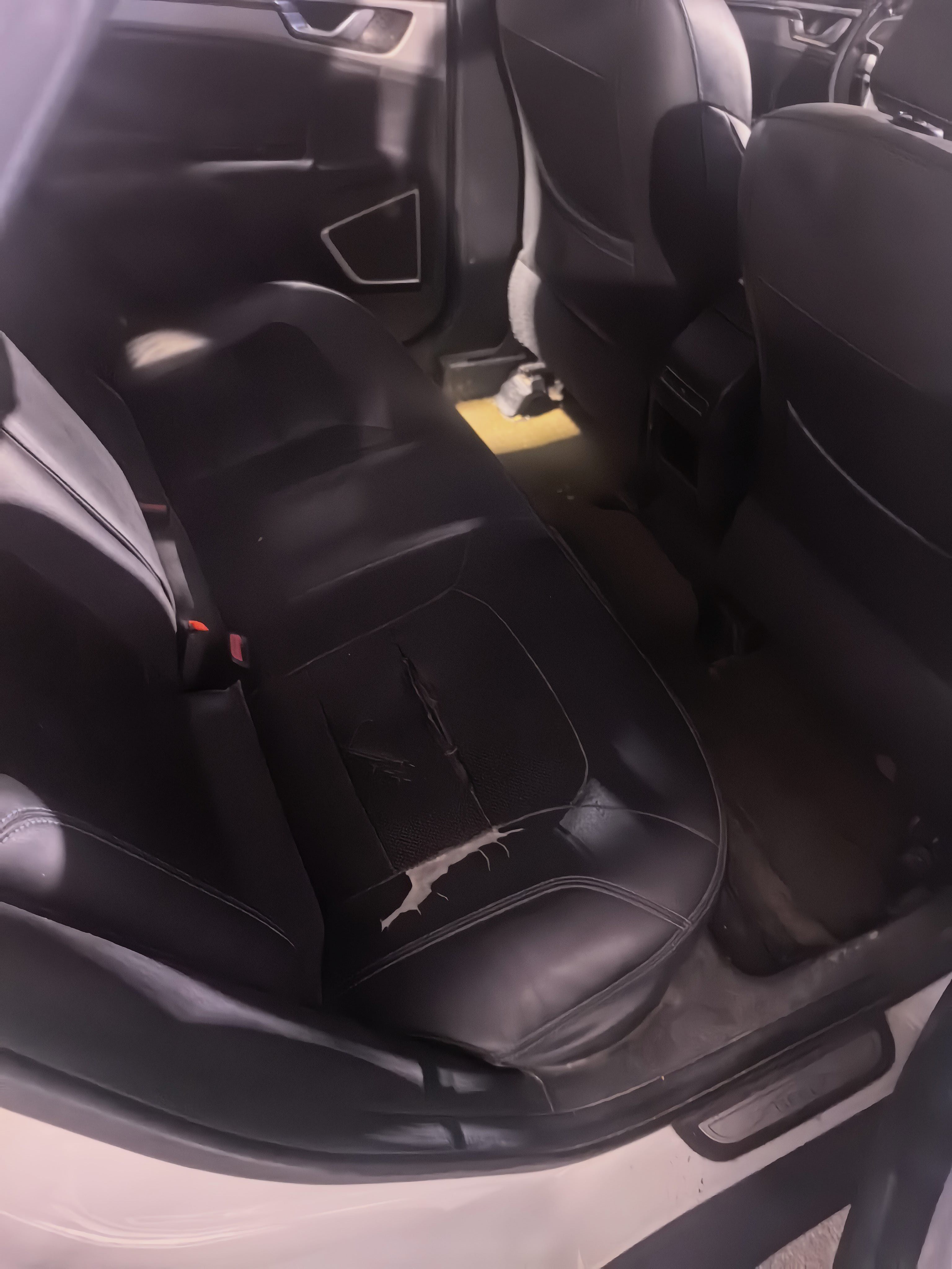 2019 #4 2019 imagen de coche #4