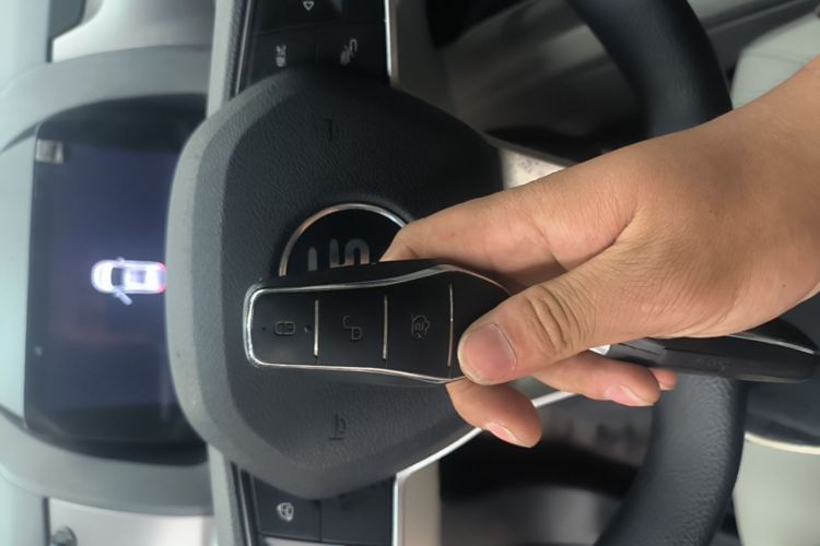 BYD Yuan Pro 2022 #9 BYD Yuan Pro 2022 immagine di auto #9