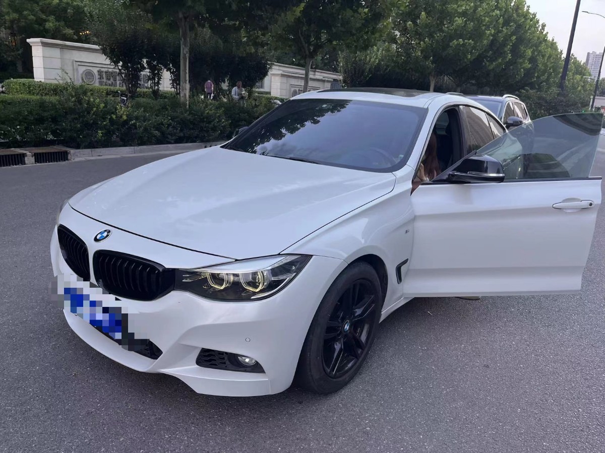 BMW 3 Series GT 2019 car image 