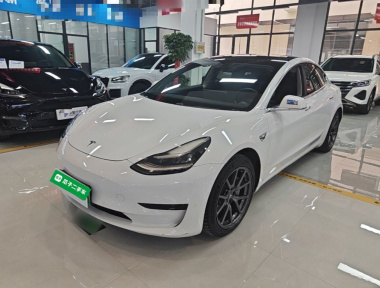 Tesla Model 3 2020 Tesla Model 3 2020 car image
