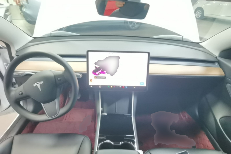 Tesla Model 3 2020 car image #10
