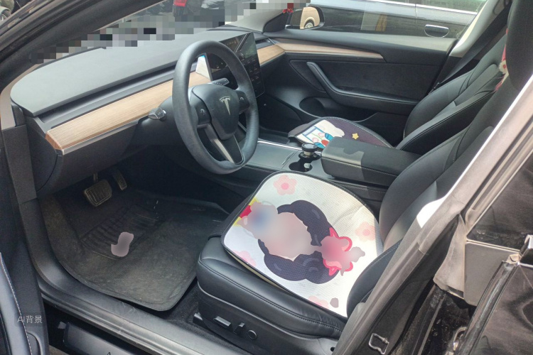 Tesla Model 3 2022 #17 Tesla Model 3 2022 car image #17