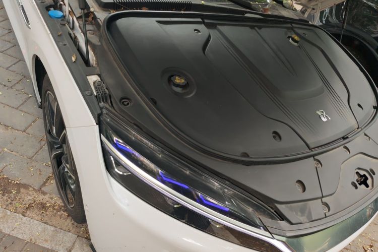 BYD Han 2021 car image #24