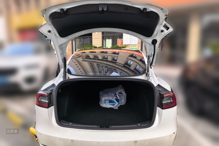 Tesla Model 3 2021 car image #21