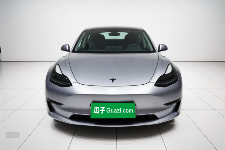 Tesla Model 3 2021 #3 Tesla Model 3 2021 car image #3