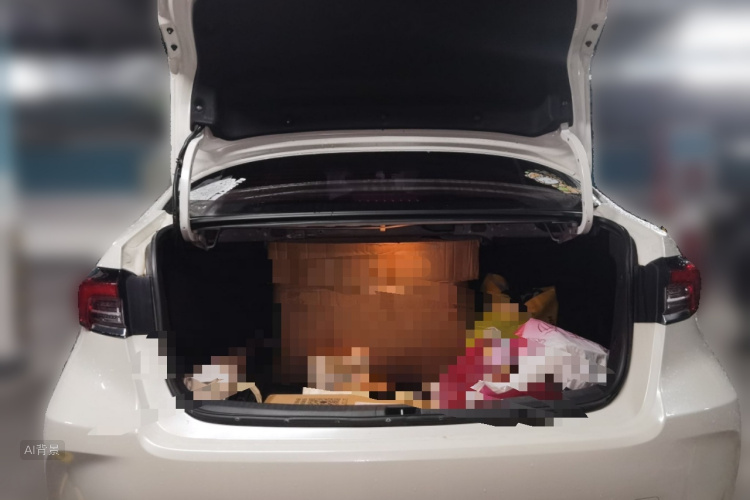 Toyota Corolla 2021 car image #21
