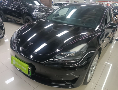 Tesla Model 3 2022 Tesla Model 3 2022 car image
