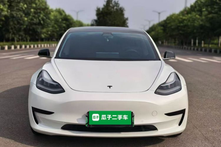 Tesla Model 3 2020 #3 Tesla Model 3 2020 car image #3
