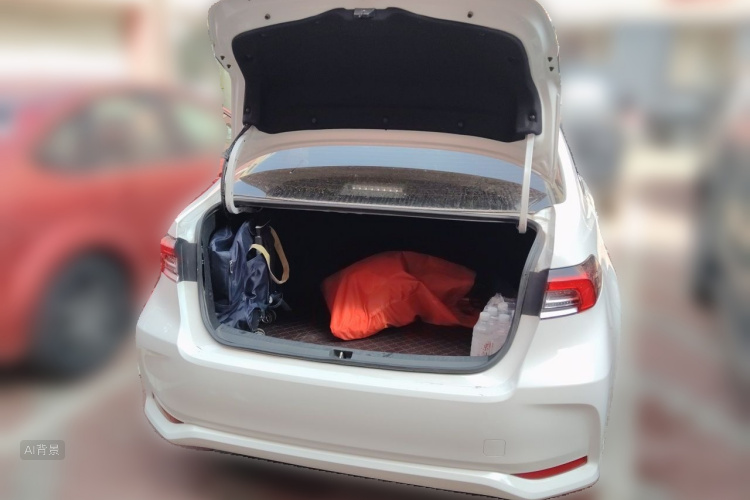 Toyota Corolla 2021 car image #21