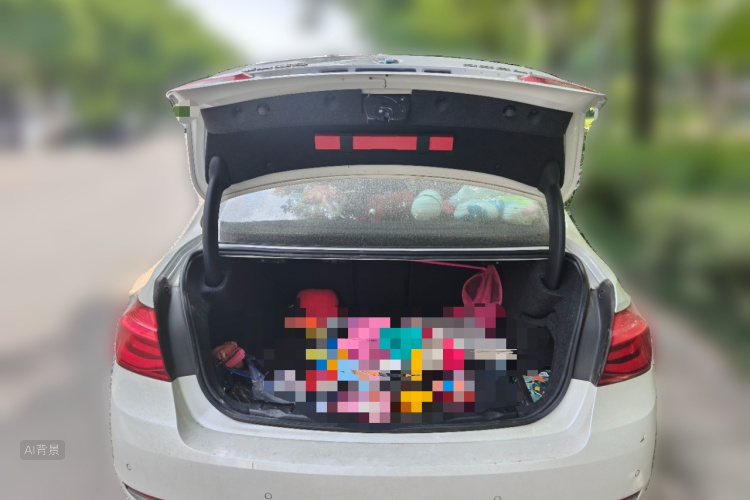 BMW 3 Series 2018 car image #21