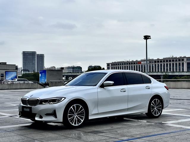 BMW 3 Series 2019 car image #10