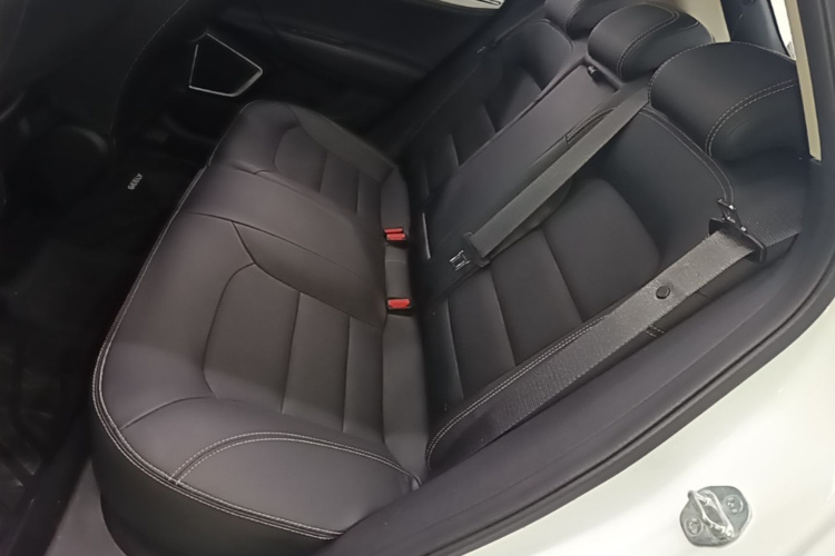 GEELY Emgrand GS 2019 #17 GEELY Emgrand GS 2019 car image #17