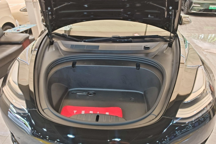 Tesla Model 3 2020 #20 Tesla Model 3 2020 car image #20