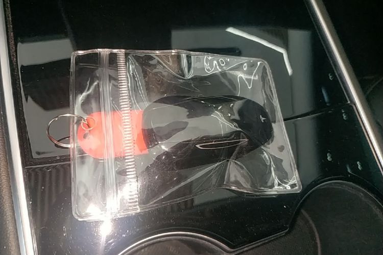 Tesla Model 3 2020 car image #14