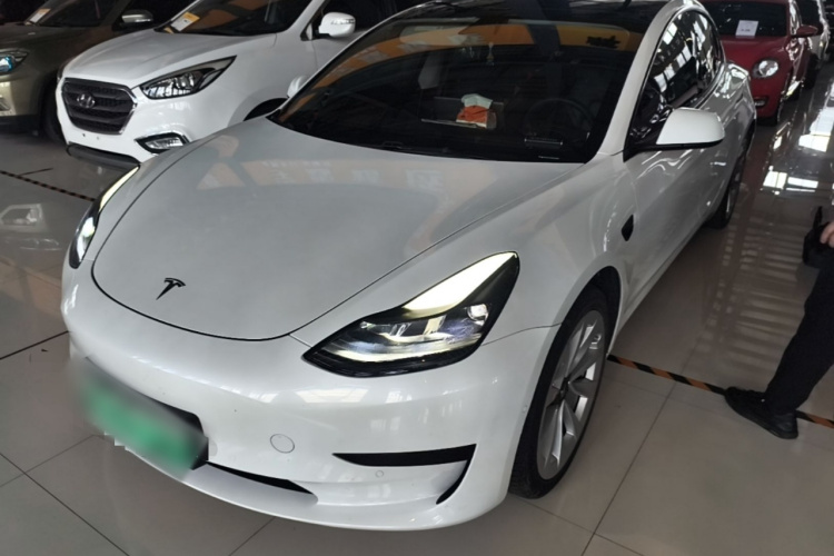 Tesla Model 3 2021 #2 Tesla Model 3 2021 car image #2
