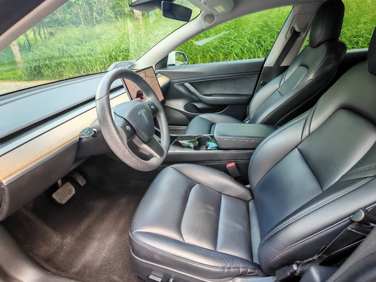 Tesla Model 3 2020 #4 Tesla Model 3 2020 car image #4