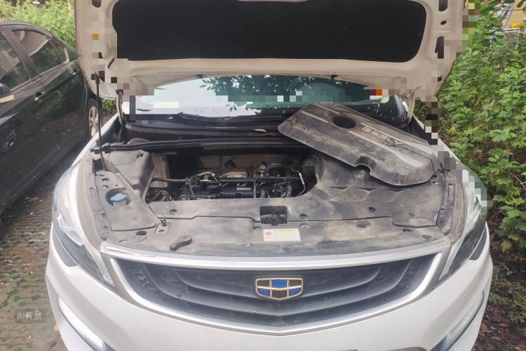 GEELY Emgrand GS 2019 car image #22