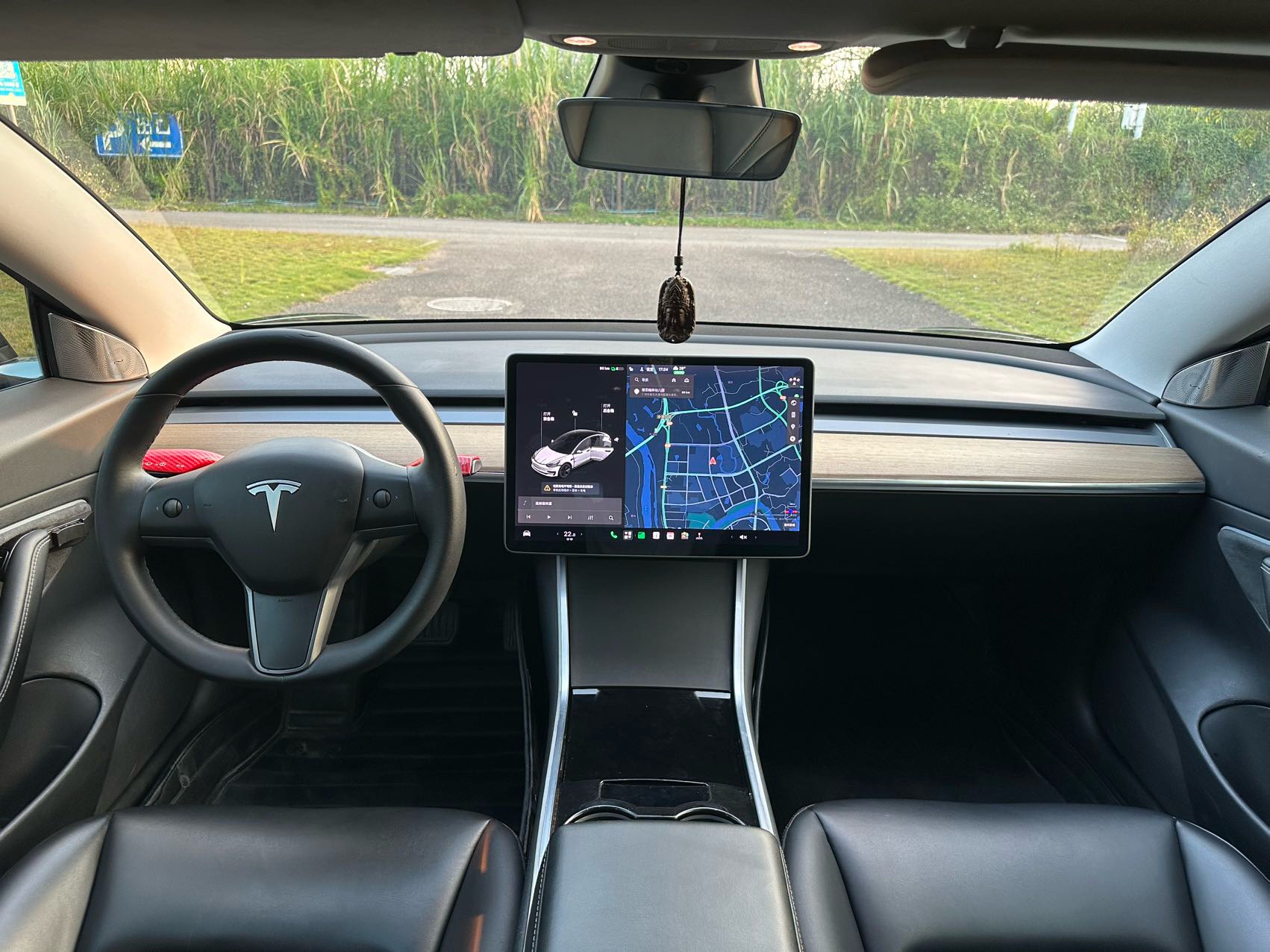 Tesla Model 3 2020 car image #5