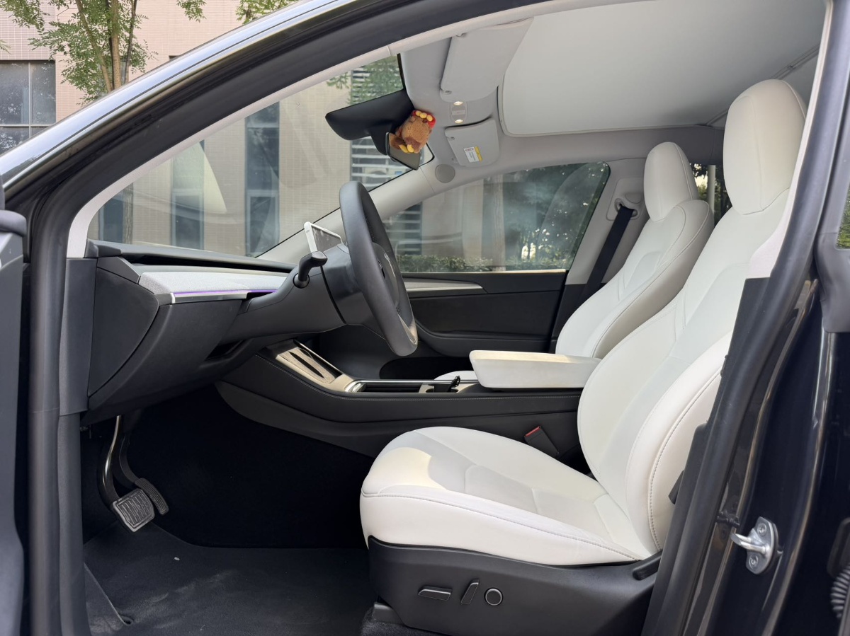 Tesla Model Y 2024 car image #4
