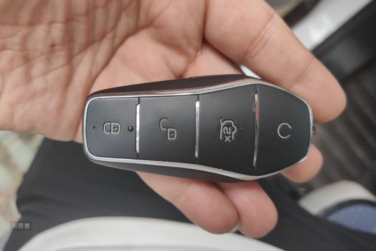 BYD Yuan Pro 2021 car image #10
