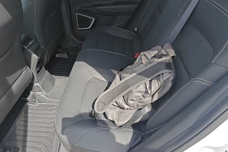 GEELY Emgrand GS 2019 #17 GEELY Emgrand GS 2019 car image #17